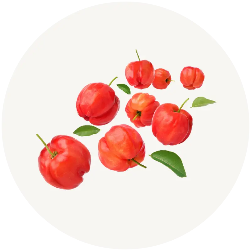 Acerola