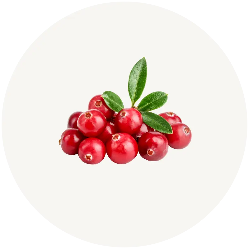 Cranberry